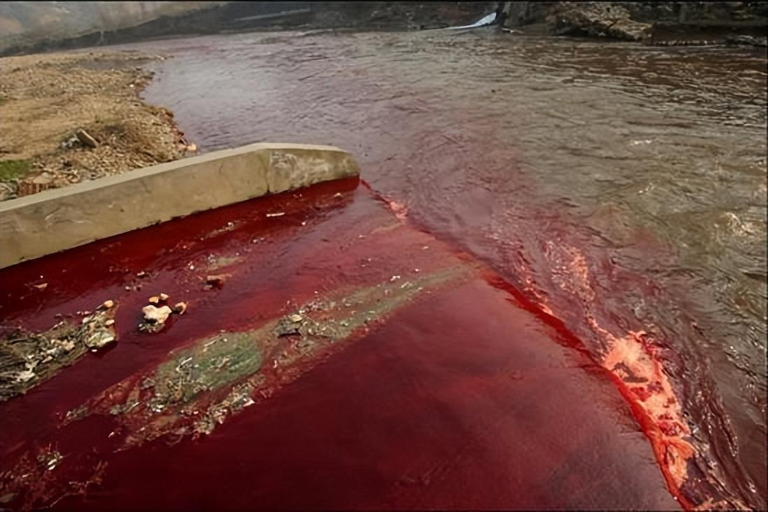 尼罗河伤痕累累，是战争的破坏，还是盗贼的肆虐？
 
现在的卢克索是古埃及帝国首都