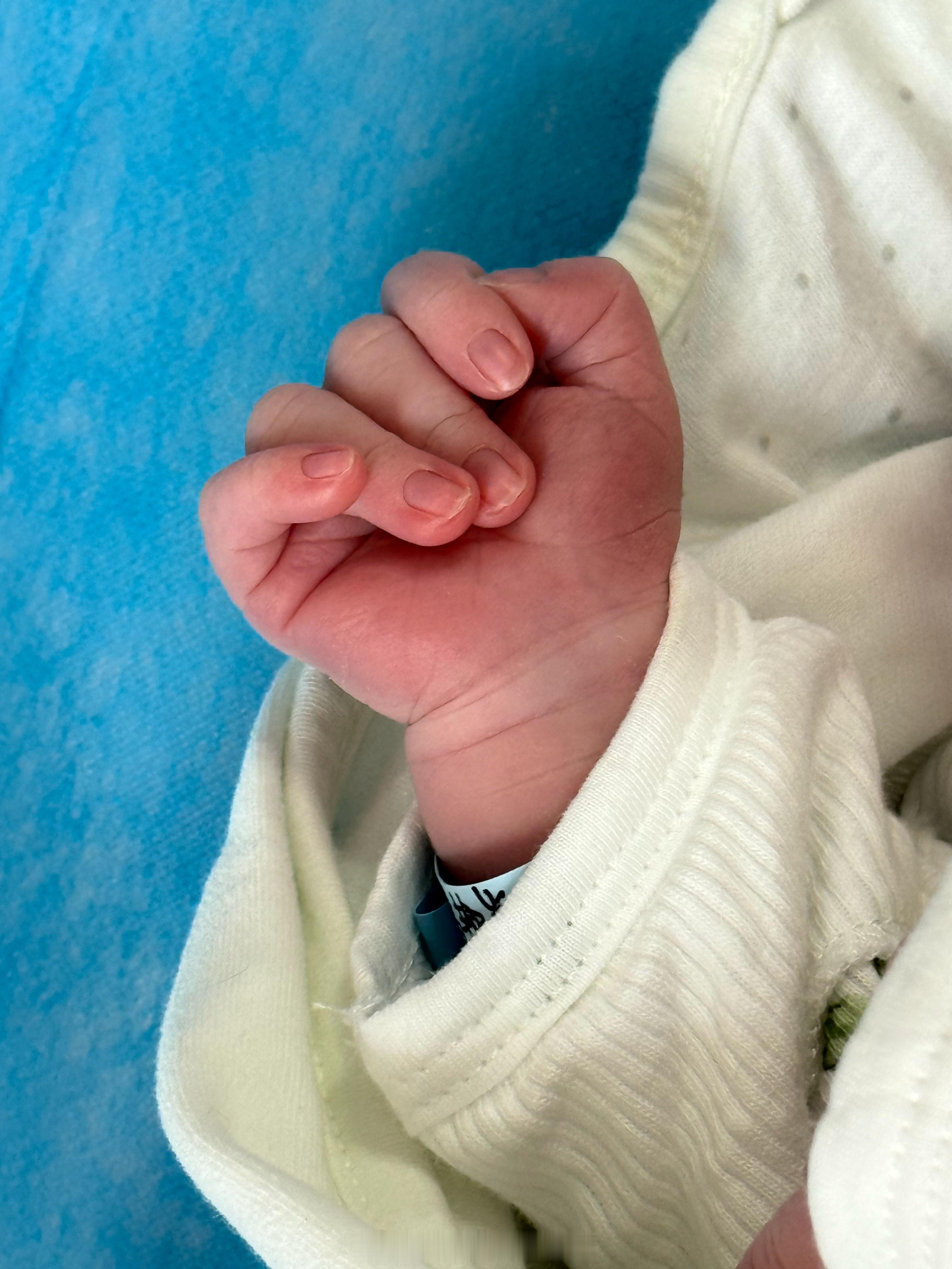 我的小Baby 出生了