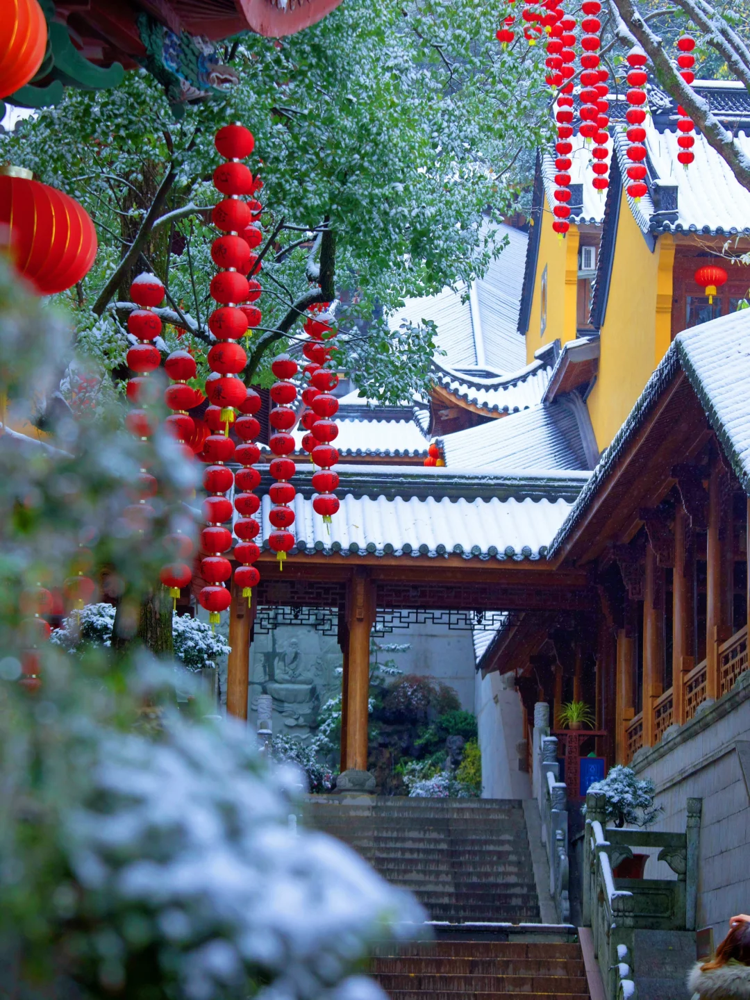 杭州新年3️⃣条祈福路线：从灵隐寺到财神庙