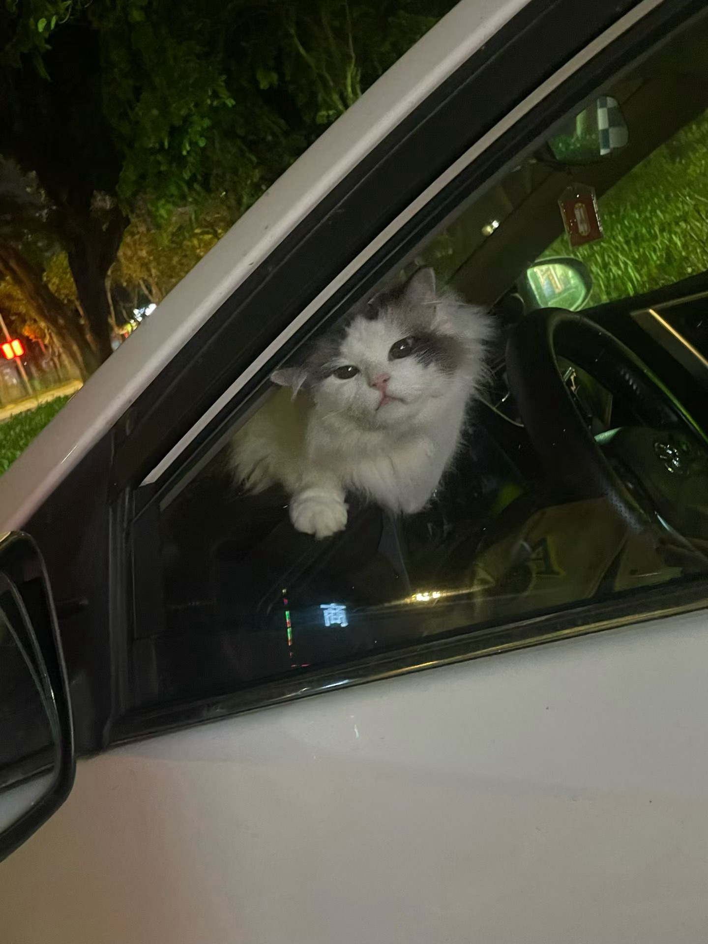 喜欢你也很困难。 