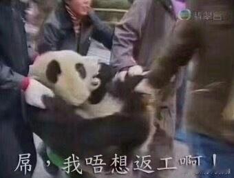 怎么明天就要上班了？？ 