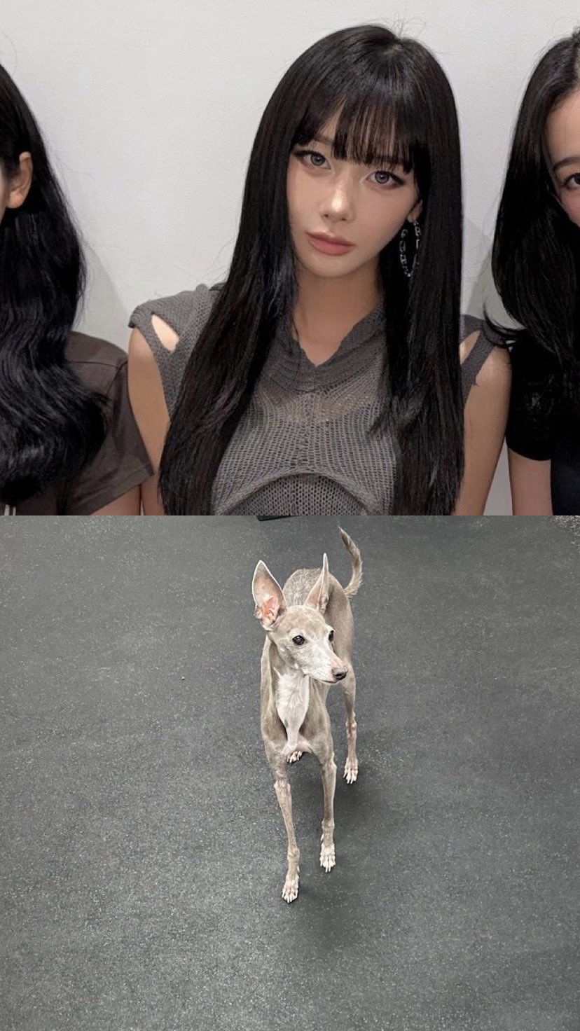 谁敢说不是亲生的