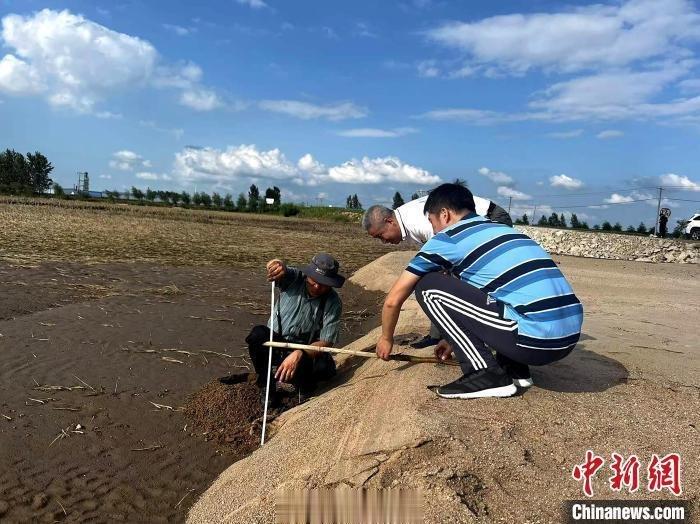 #专家称洪水对吉林黑土地保护影响有限#8月初，受台风“杜苏芮”影响，吉林、黑龙江