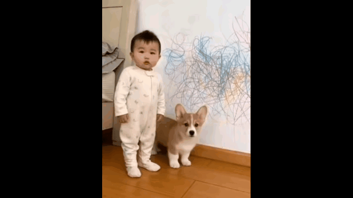 两个不会说话的小家伙，用肢体语言表达了自己的想法。
家里墙上涂的乱七八糟的，主人