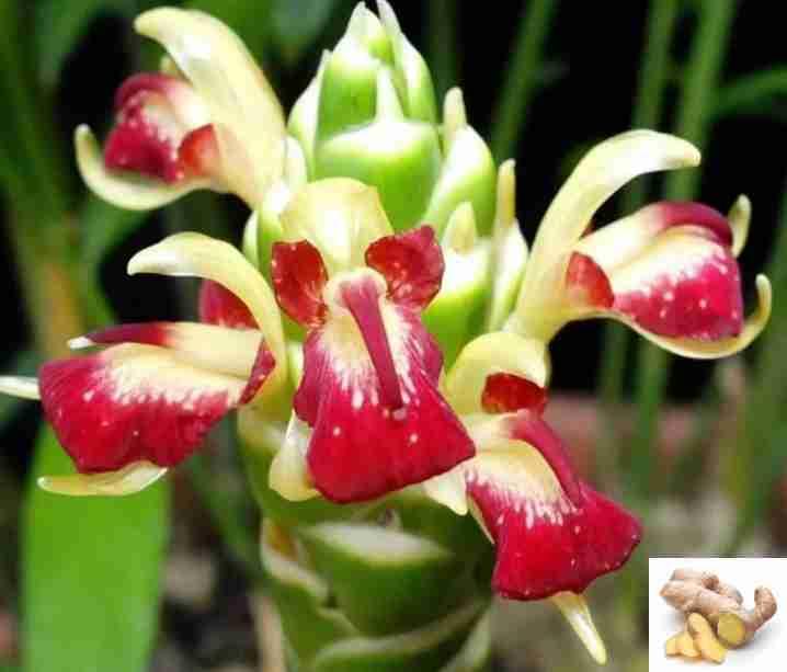 我的今日状态：😁轻松愉快
我这里的天气：☀️晴天