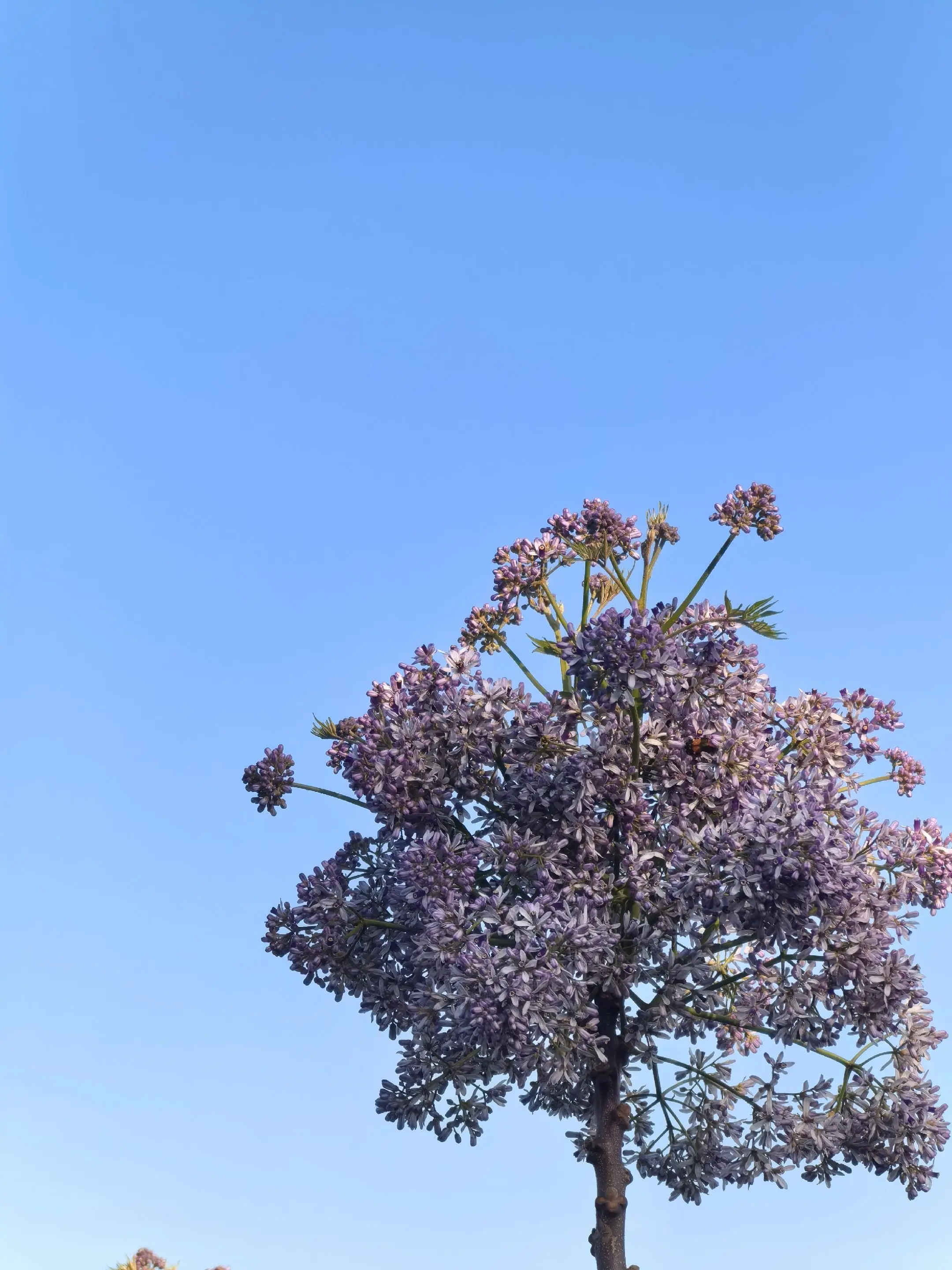蓝天白云晴空万里