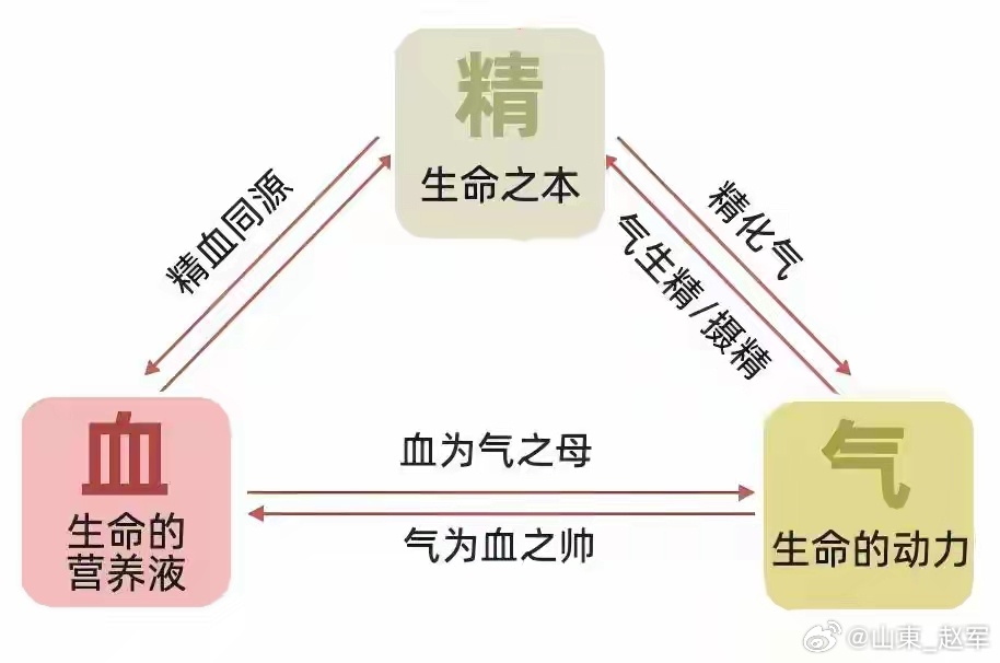 精从血来，血从气生，一味药既补脾更强肾，把精气血都补足！时不时的抽筋，走两步就感