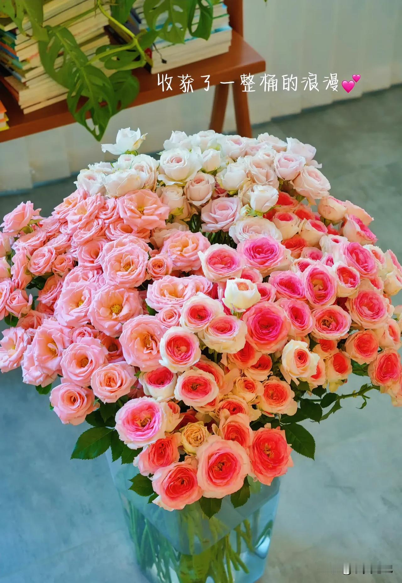 #记录夏日的花花草草#
夏日炎炎，请你们赏花🌸🌸🌸