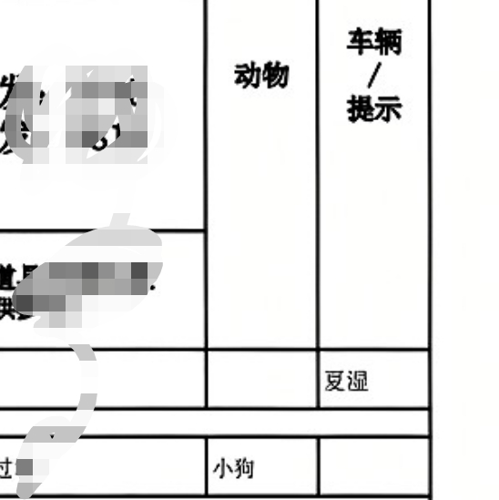 即将见证夏天的出道之作！妈呀，长公主真是万千宠爱于一身，怪不得大家都说当老幺最得