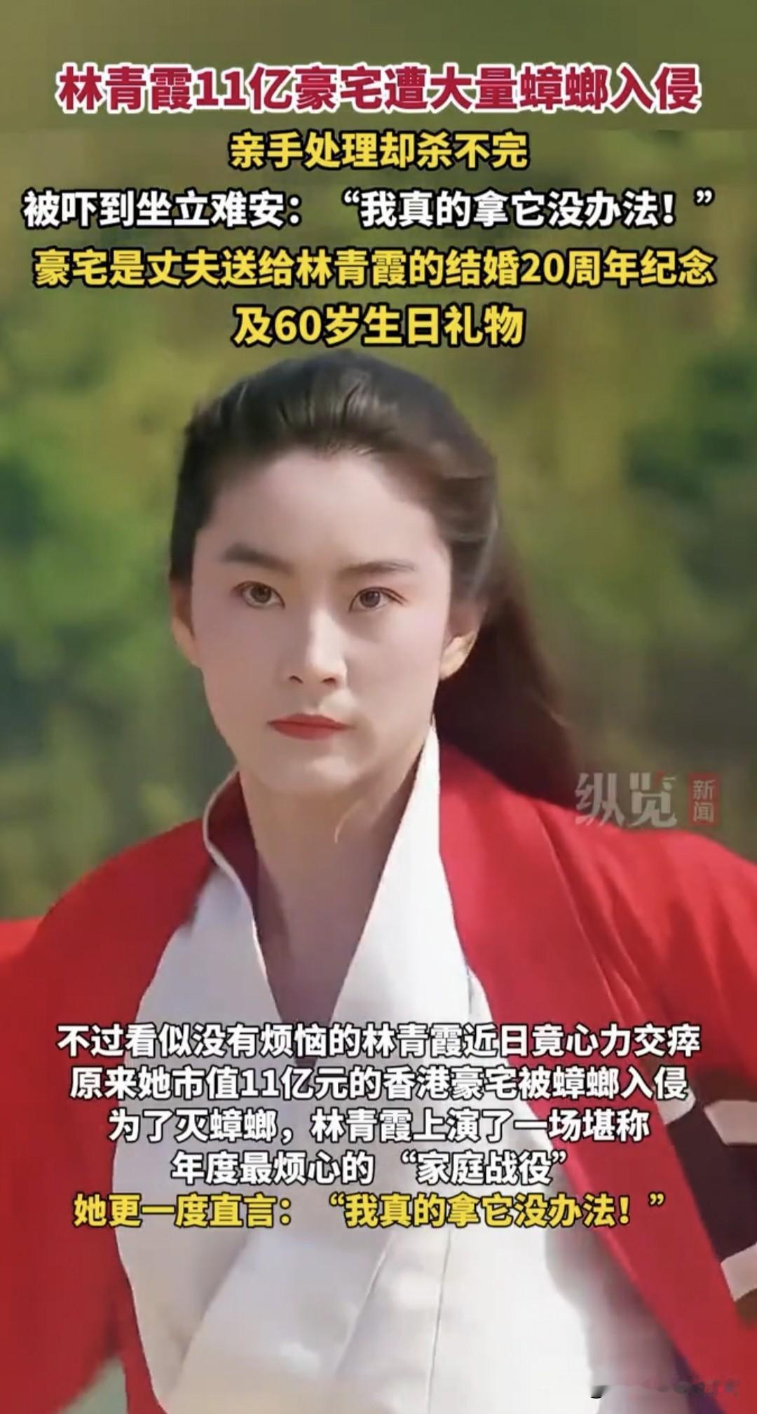 万万没想到，
气质仙女林青霞的豪宅也有被小强霸占的一天。

但凡头脑灵敏一点的商