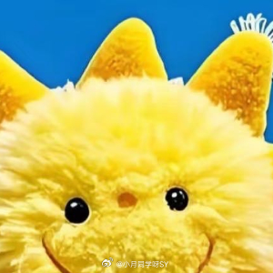 早安心语 日子细碎如星，幸福藏在每一个当下。不必追赶远方的喧嚣，把心安放在此刻的