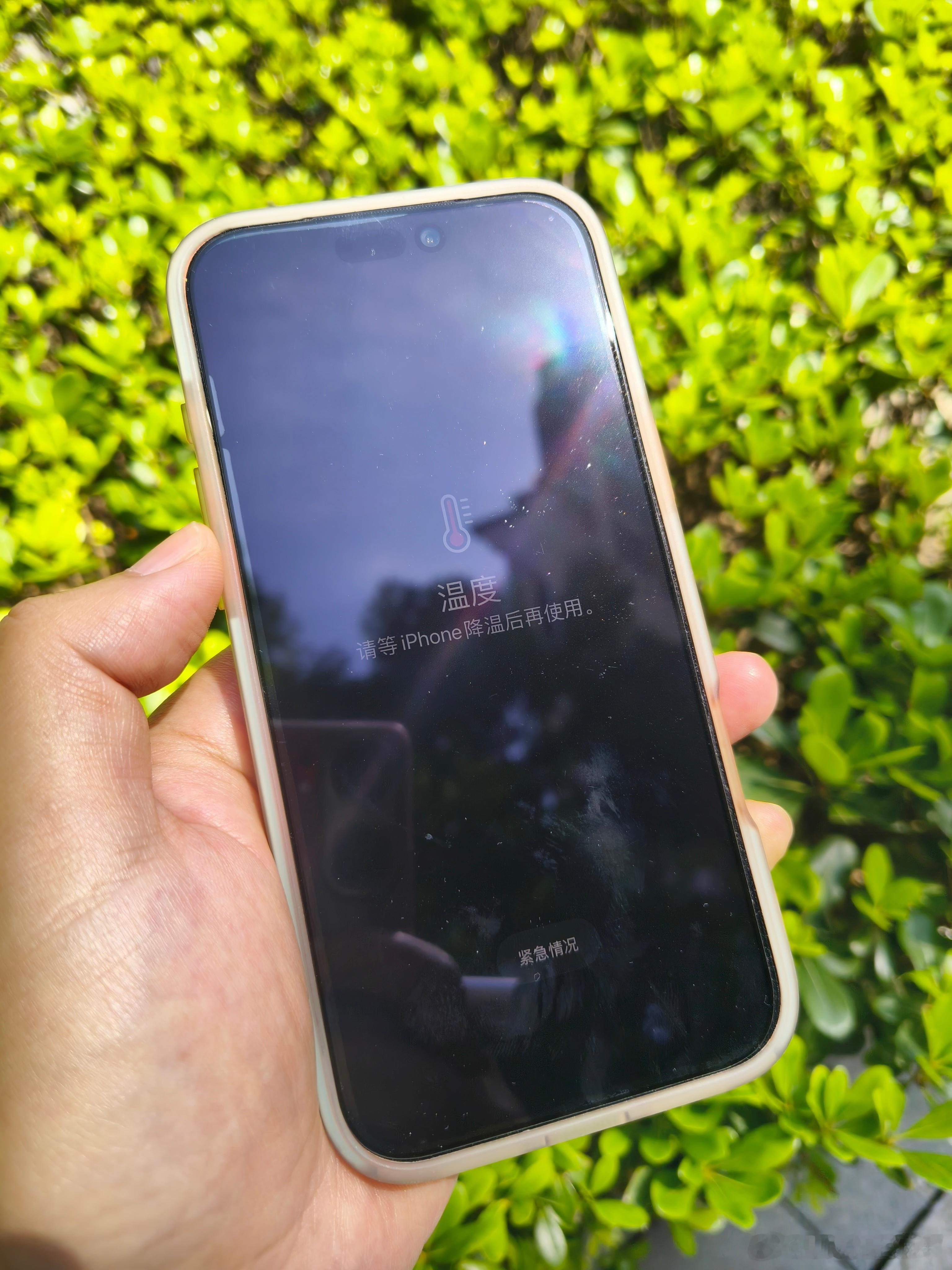一年一度的 iPhone 保留节目开始