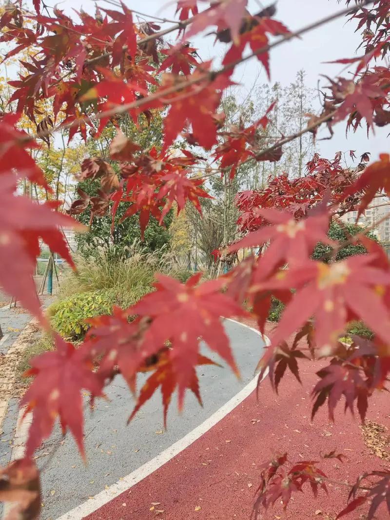 谁说南方不冷？作为东北人，我终于在南方领悟到了那股子让人直打颤的寒意，跟咱东北的