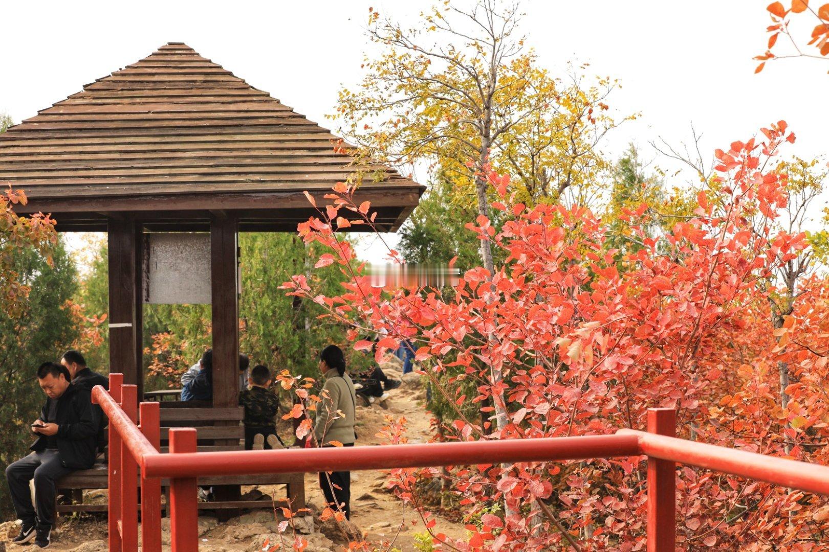 顺义舞彩浅山红叶北京你好[超话] 摄影 ​​​