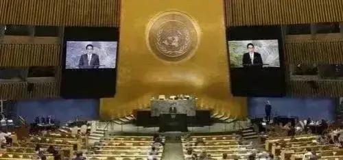 痛快，真的是痛快！
看来反感的不只是我们，人人心中都有一杆秤，安田文雄团队的自私