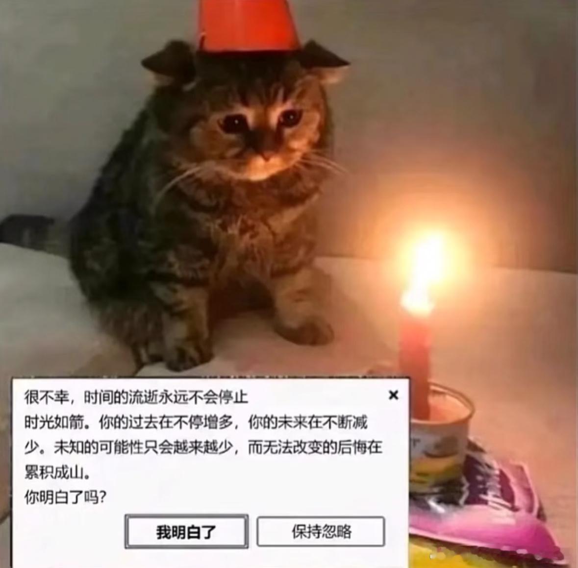 过去在不断增多，未来在不断减少 ​​​