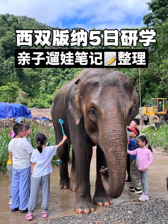 西双版纳5天4晚亲子遛娃深度研学笔记整理👇