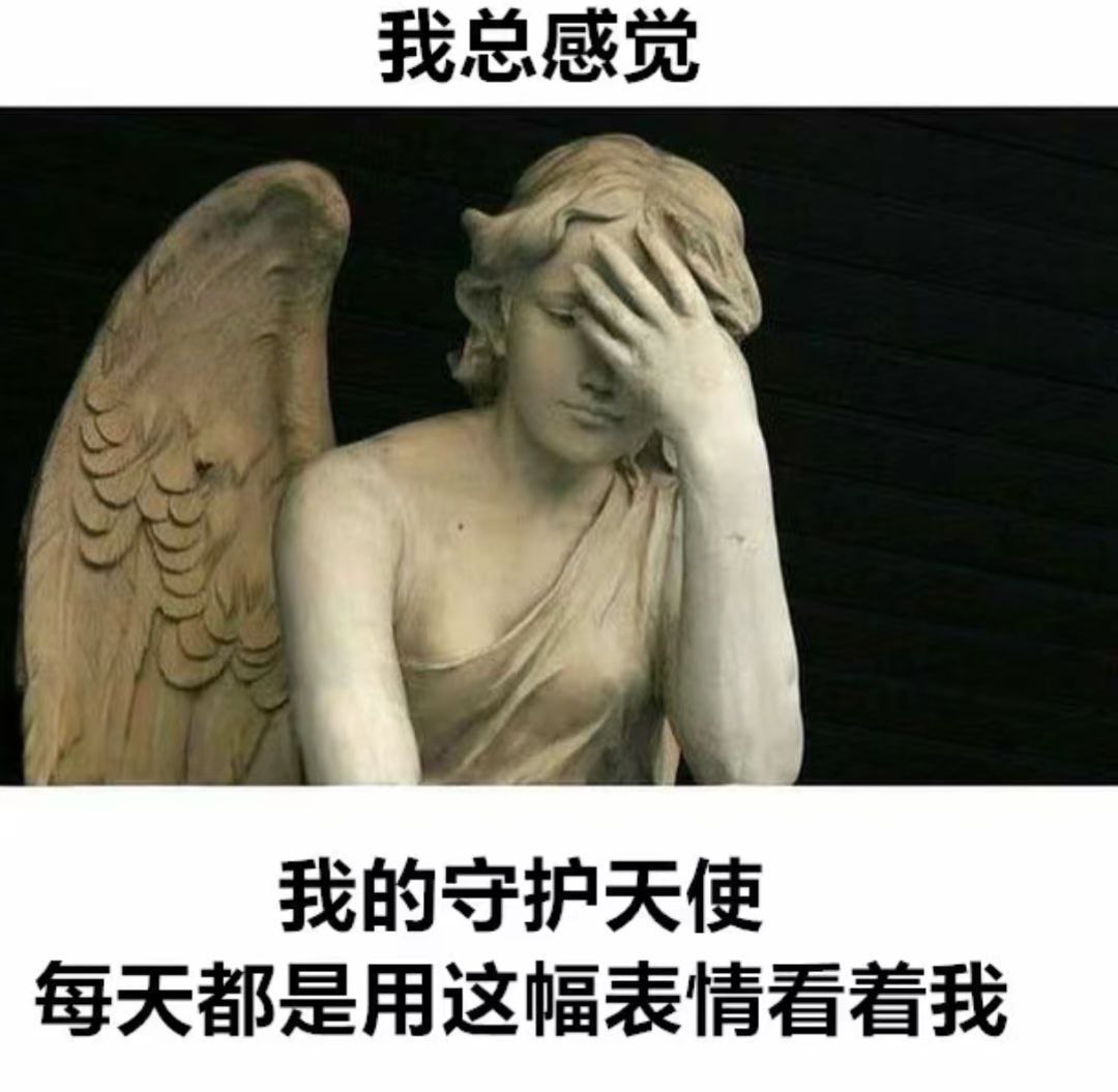 姜大点每天对崔秀敷： 