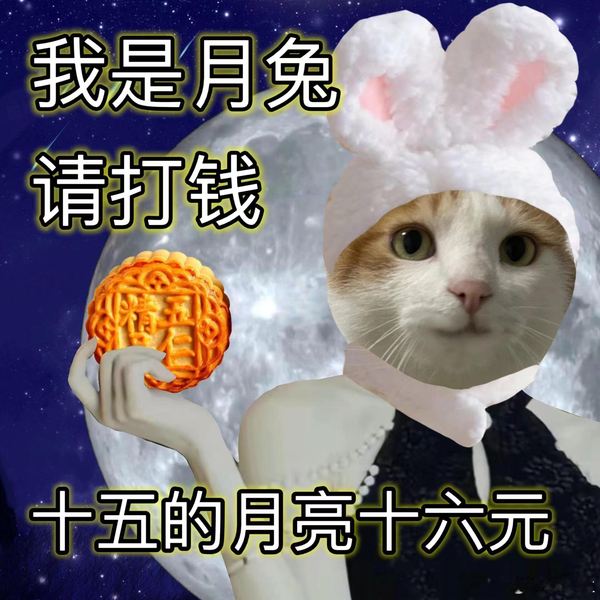 #月饼届是要考博吗#没想到真的有月饼博士，黑松露小龙虾和芥末三文鱼一看就是新发明