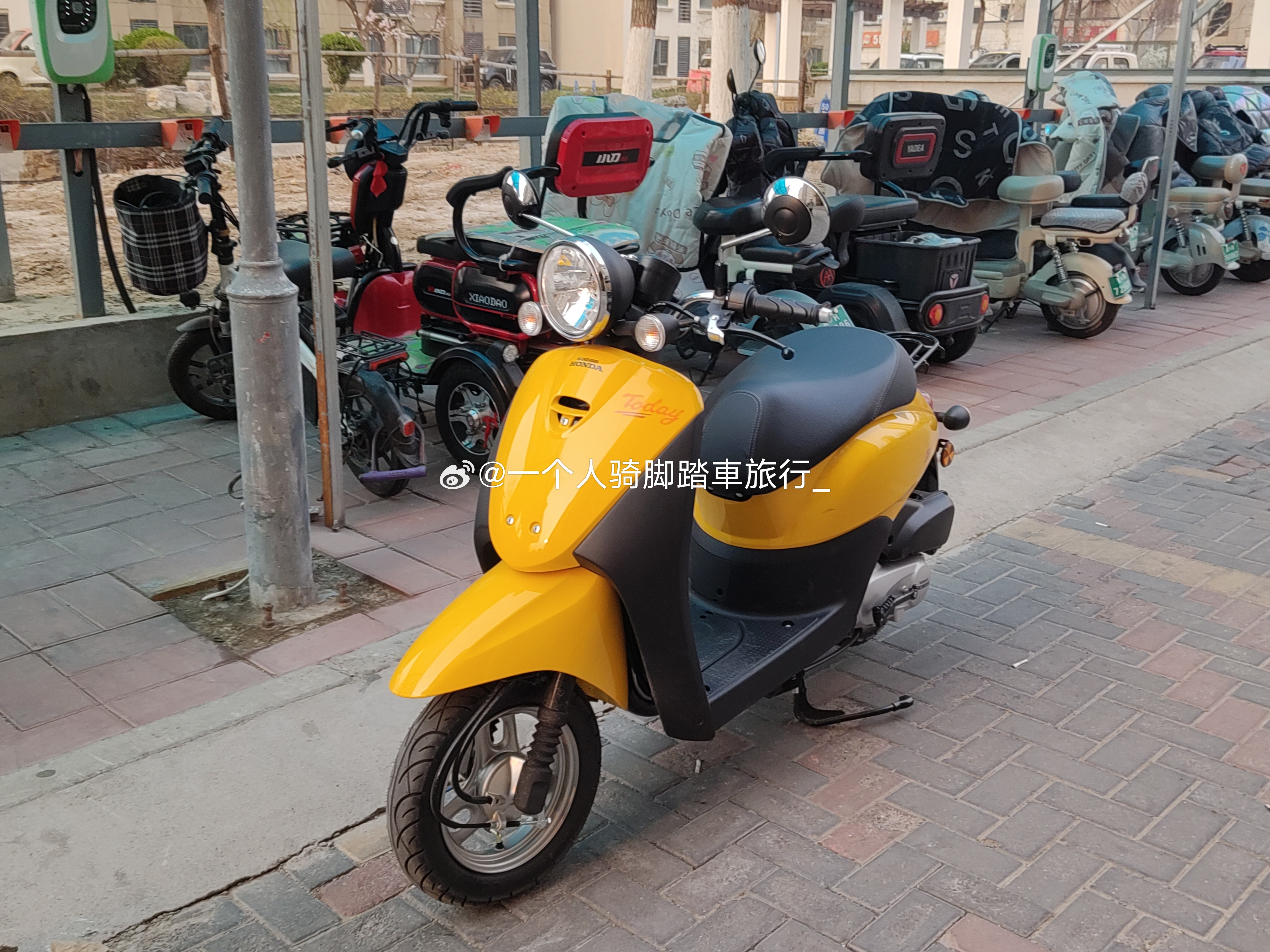 摩托车新大洲本田自由50轻便二轮摩托车轻便摩托车新大洲本田本田自由踏板踏板摩托车