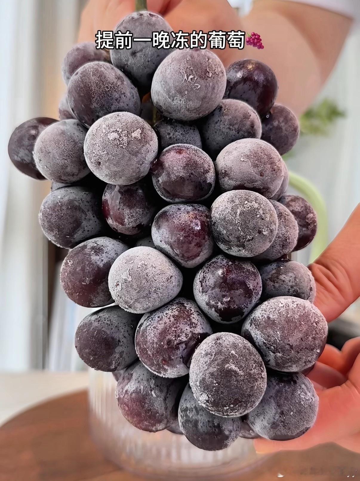 最近葡萄大量上市了，我们可以动手自己做多肉葡萄啦～🍇真的超级好喝，而且又简单，