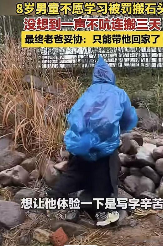 “强的可怕！”浙江杭州，一8岁男孩因不愿意做作业，被父亲带到乡下搬石头，从早上8