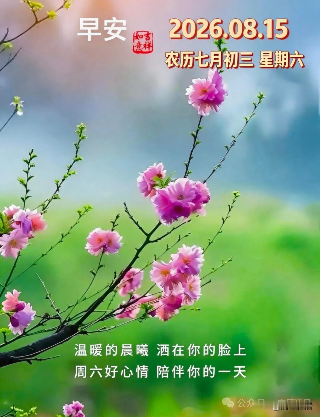 你为了退休后的养老生活做了哪些准备我已经退休五年了。在没有退休时，就幻想着退休以
