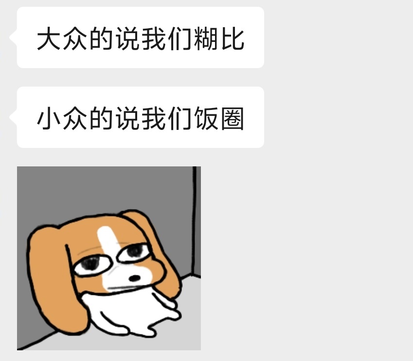 我追星的一生 