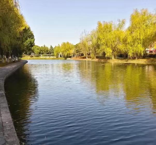 玩个捉迷藏游戏把自己的命玩没了，实在是太可惜了！

12月8日晚上，安徽工程大学