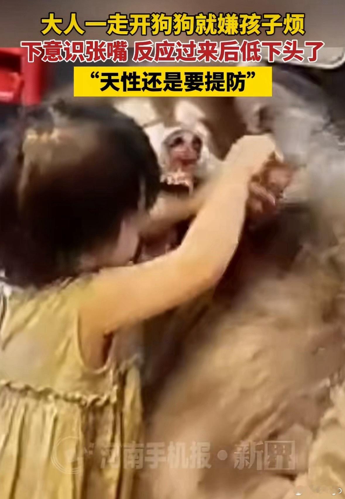 大人刚转身离开宠物狗就张嘴咬孩子我记得爱狗人士经常挂在嘴边的一句话是：“我家的狗