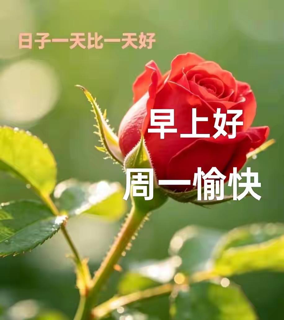 ☕
新周开启，愿你晨起有清风拂面，
愿你周一上班少点烦。
 
送你思路，方案一遍