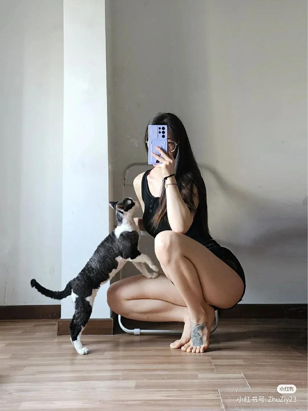 喵和女人谁最难驯服