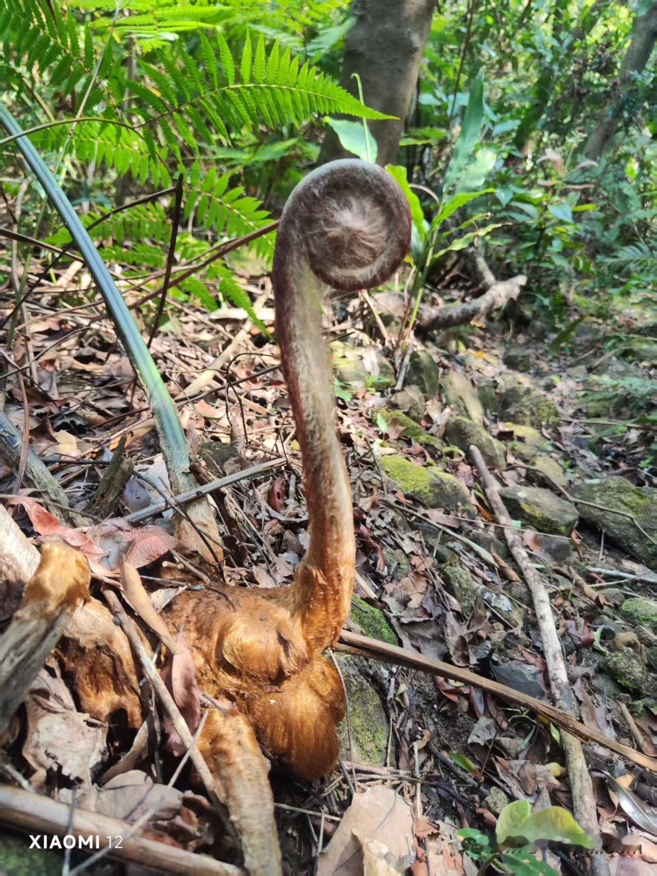 百岁 养生大智慧，绿源养生心神合一，与自然和谐。

       人要认识神，福