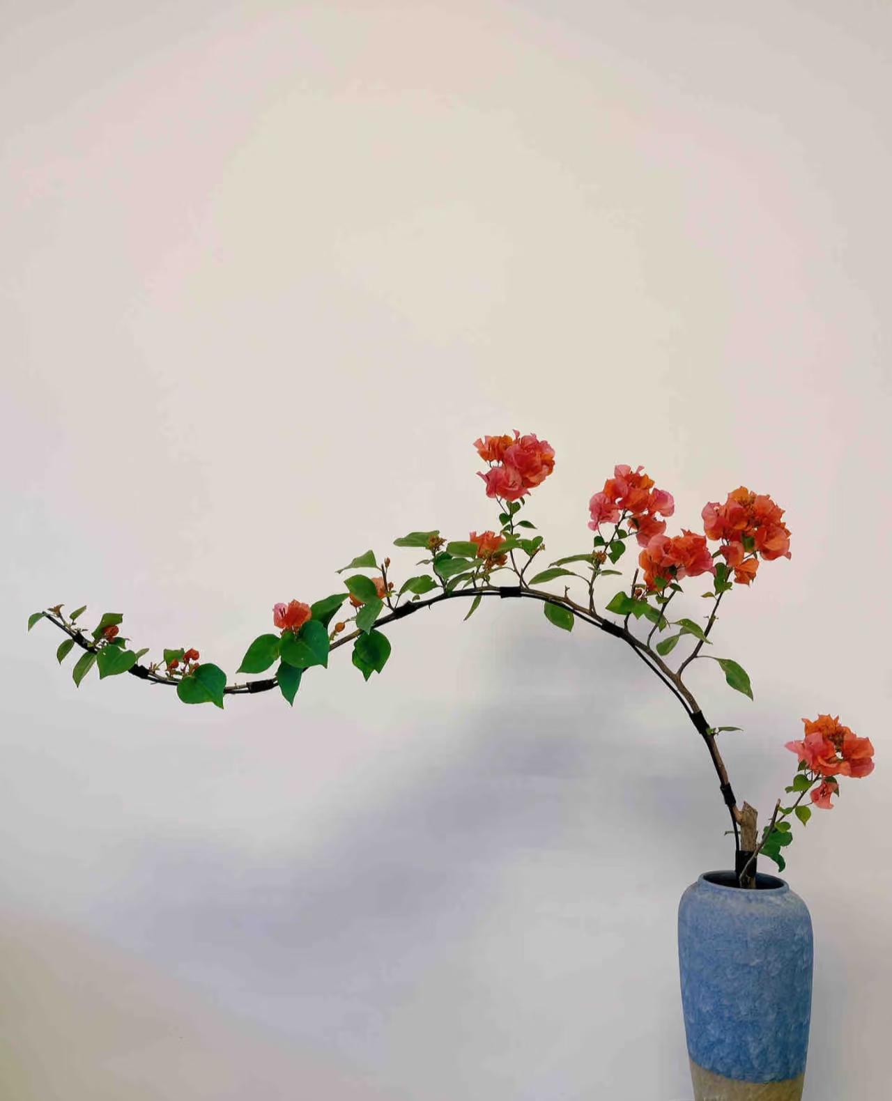 一花一器，一室清欢。