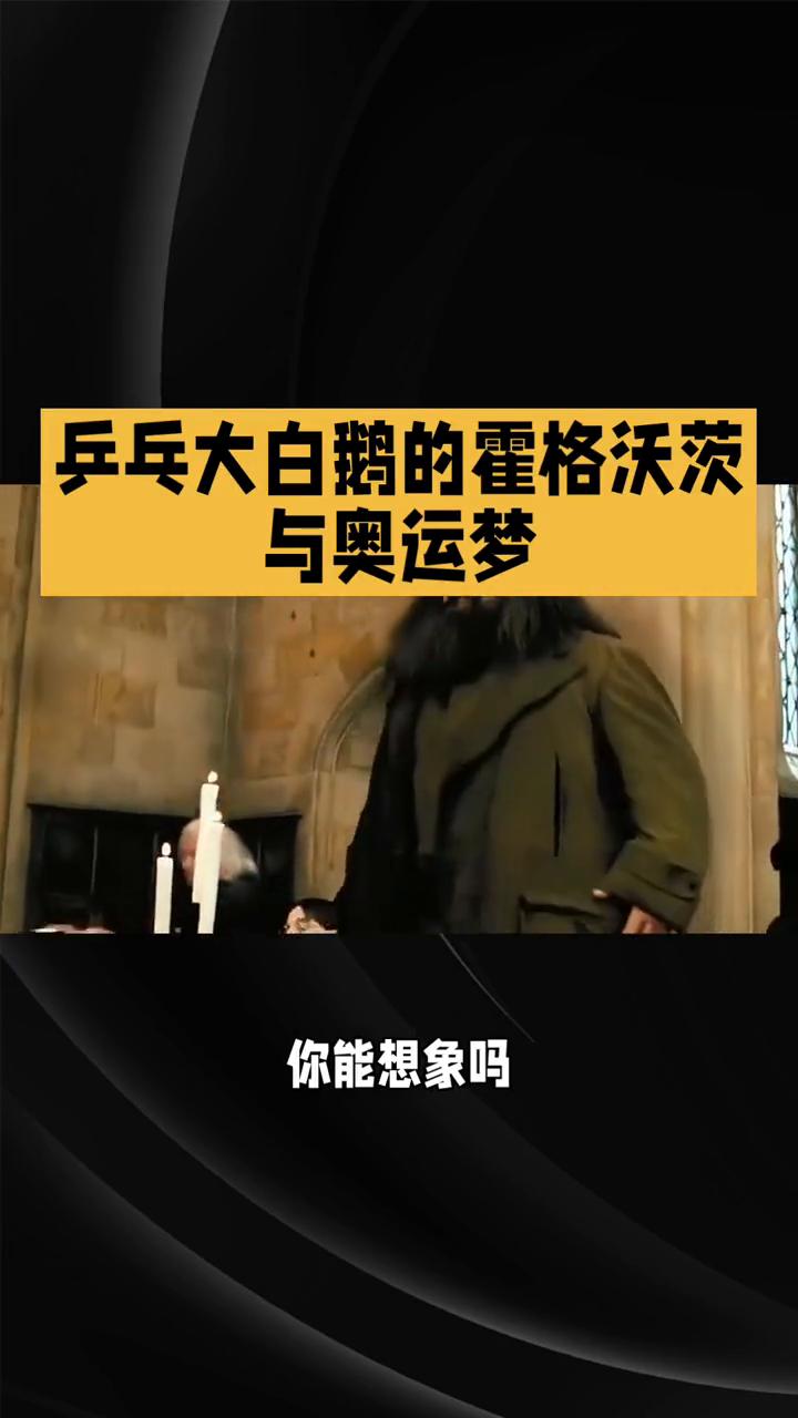 乒乓大白鹅的霍格沃茨与奥运梦。
乒乓大白鹅的霍格沃茨与奥运梦，魔法与汗水交织的征