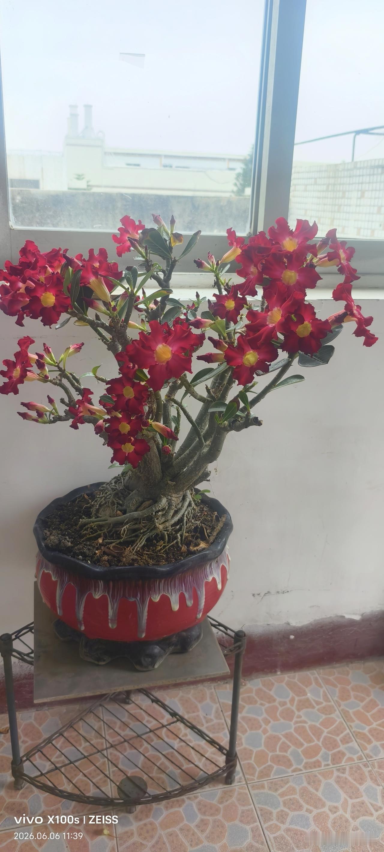 当你发觉身边的人都比你年轻，且平日没什么病痛，却突然这个脑梗，那个手麻，都踏上了