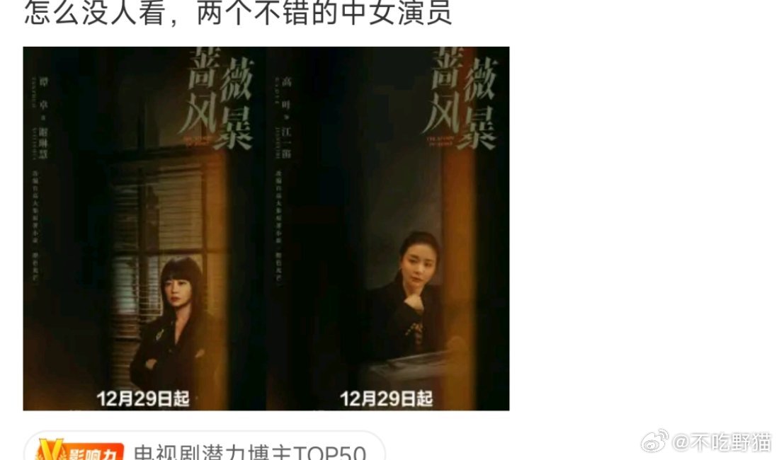 蔷薇风暴 甚至都不知道有这部剧，更加不知道这部剧开播了。。。看了一下双平台扑街开