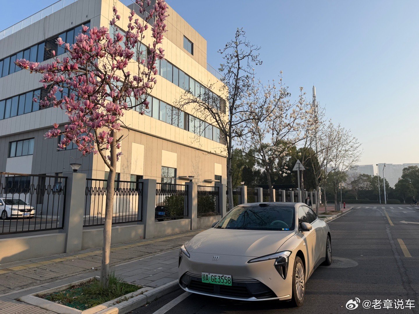 又到了春暖花开的季节，公司路边玉兰花开，真美。至境l7