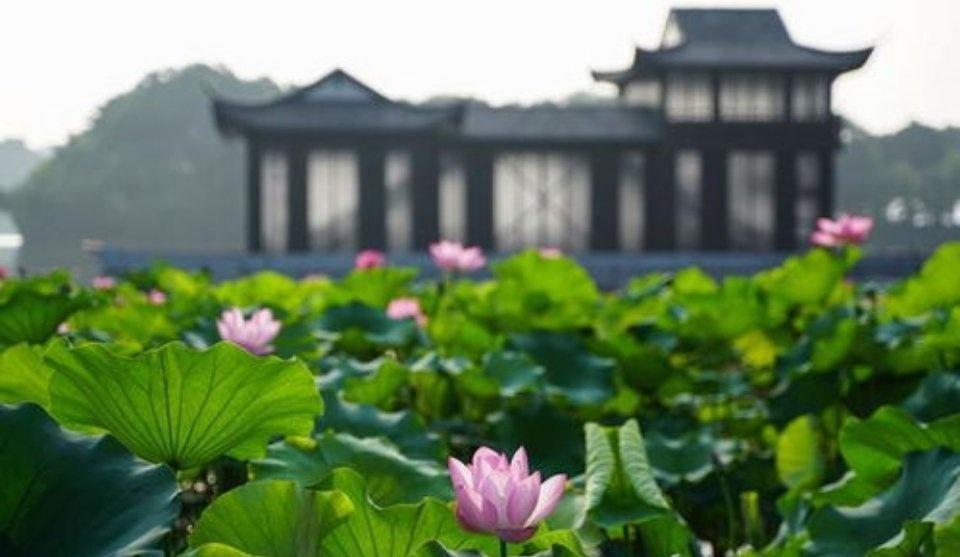 杭州[超话]

[笑哭]杭州官宣明天入夏

才五月初啊，这就要入夏了吗[笑哭]