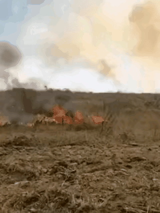 这是一个什么东西在地上跑？当看到这东西的第一眼时，感觉像是一个动物身上着火了，于