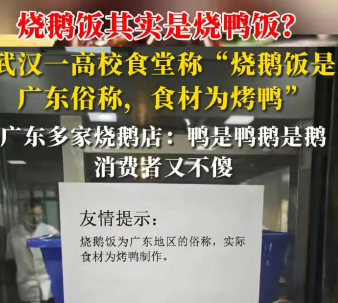 烧鹅饭到底是鹅还是鸭烧鹅和烧鸭口感是有所不同的，价格更是差别挺大，要是按照烧鹅的