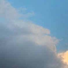 阳光信用2200🌻阳光信用🌻每日一善人生路上，风景旖旎，我们不仅要学会欣赏眼
