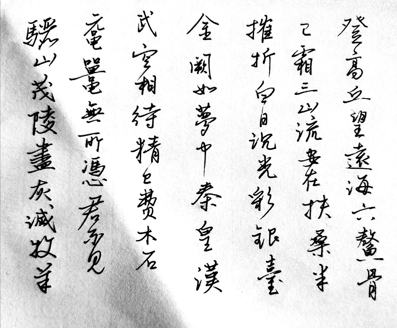 秋日生活打卡季 秋日生活打卡季
这个秋天最惊喜的事，莫过于和五年多没见的五弟意外