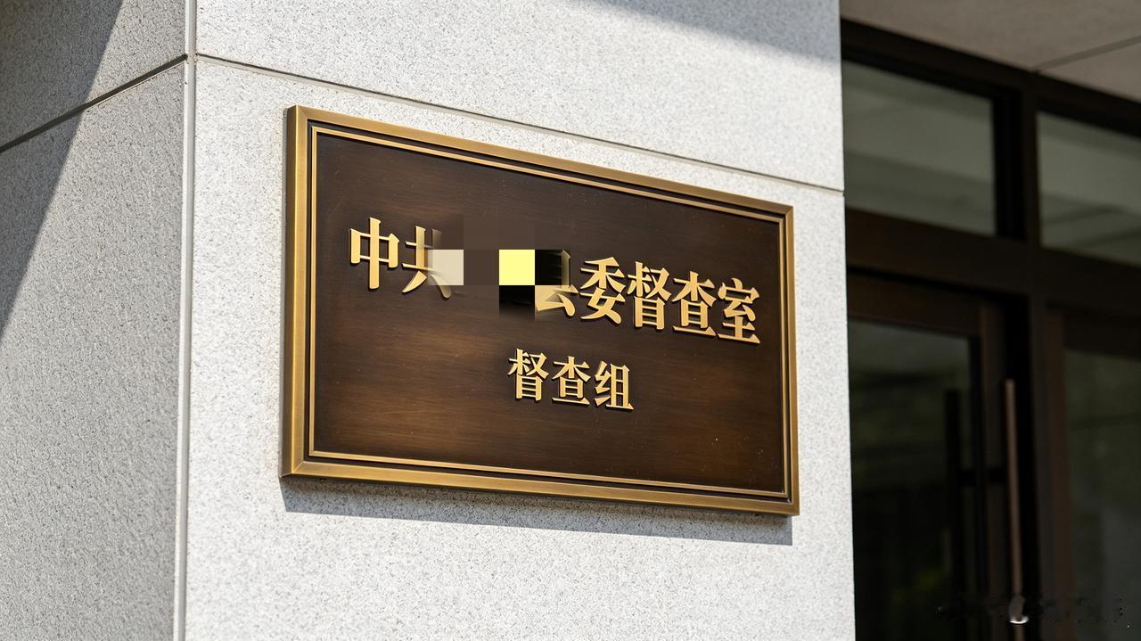 “一把手”的位子交出去了，仅剩下“三调”这一虚职。
免职的前一天，领导征求我的意
