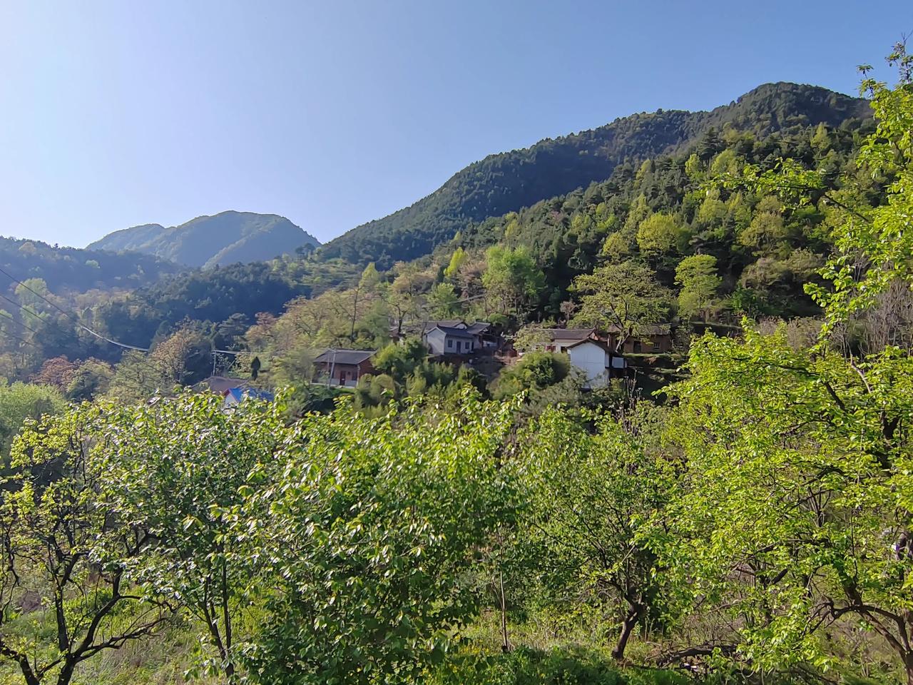 #我的家乡在商洛#
          寨沟山村没信号
        回故乡商