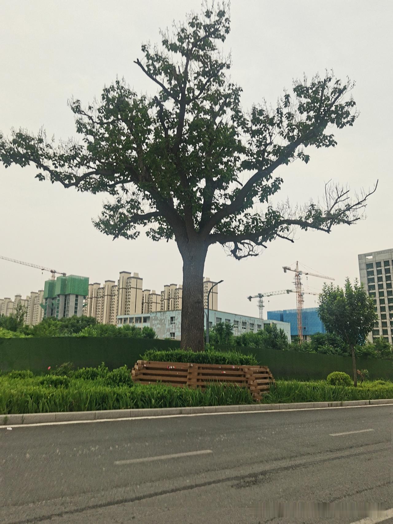 晒图笔记大赛