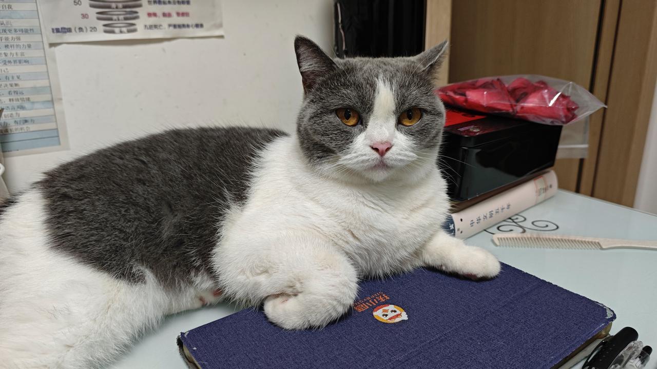 2025年11月24日，星期一，原本是寻常的冬日清晨。手机突然响起，屏幕上跳动着