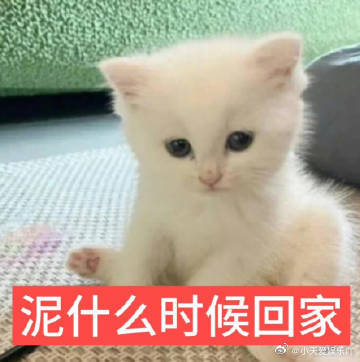 开学第一周我的胃belike 开学第一周，胃先上线！奶茶、汉堡、麻辣烫、米线轮流