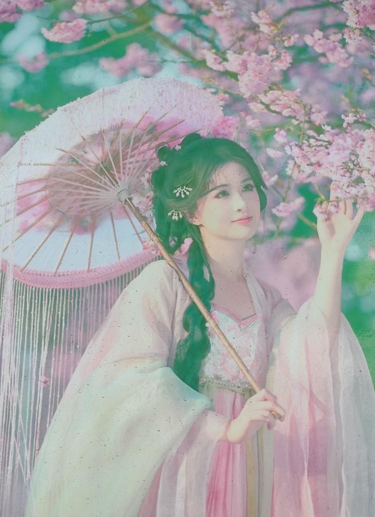 女子身穿汉服太惊艳樱花树画纸伞下，一位身穿汉服的女子，一双水灵灵的大眼睛，太惊艳