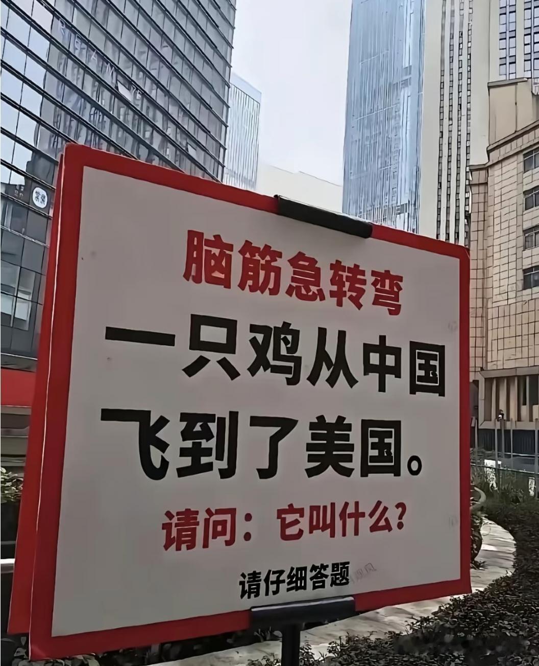 飞鸡？